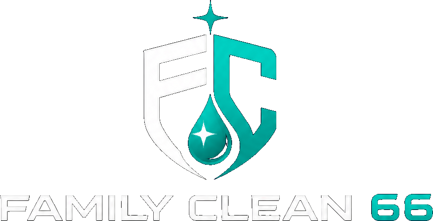 Family Clean 66
