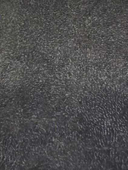 Tapis après nettoyage Family Clean 66